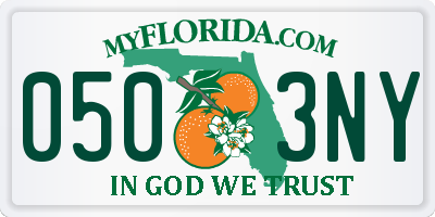 FL license plate 0503NY