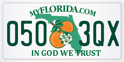 FL license plate 0503QX