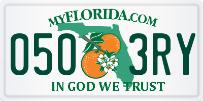 FL license plate 0503RY
