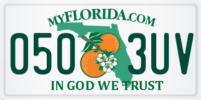 FL license plate 0503UV