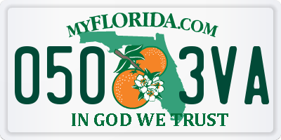 FL license plate 0503VA