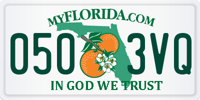 FL license plate 0503VQ