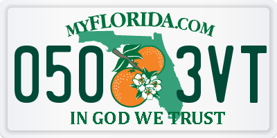 FL license plate 0503VT