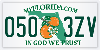 FL license plate 0503ZV