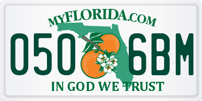 FL license plate 0506BM