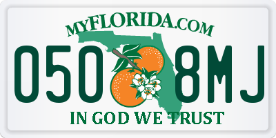 FL license plate 0508MJ