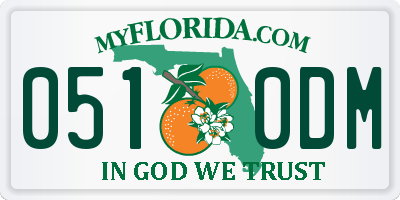 FL license plate 0510DM