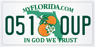 FL license plate 0510UP