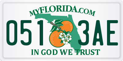 FL license plate 0513AE