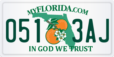 FL license plate 0513AJ