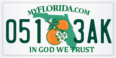 FL license plate 0513AK