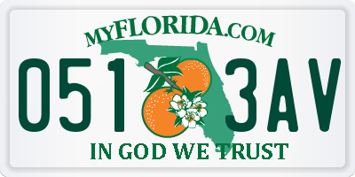 FL license plate 0513AV
