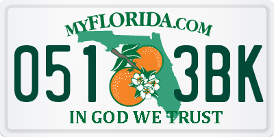 FL license plate 0513BK