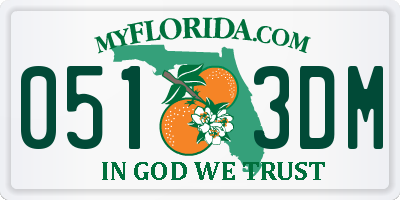 FL license plate 0513DM