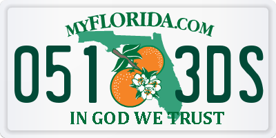 FL license plate 0513DS