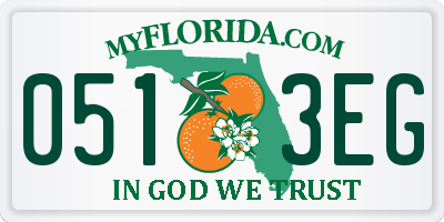 FL license plate 0513EG