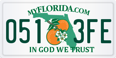 FL license plate 0513FE