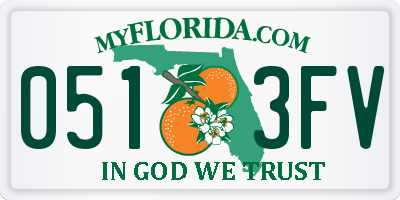FL license plate 0513FV