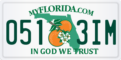 FL license plate 0513IM