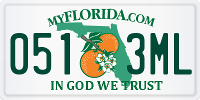 FL license plate 0513ML