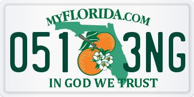 FL license plate 0513NG