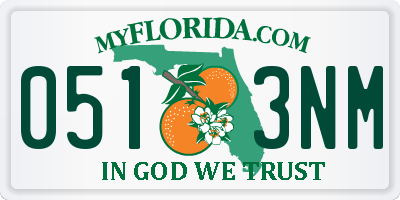 FL license plate 0513NM