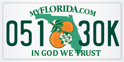 FL license plate 0513OK