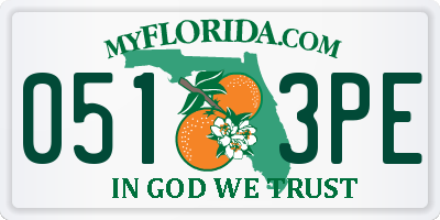 FL license plate 0513PE