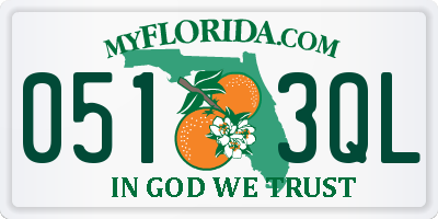 FL license plate 0513QL