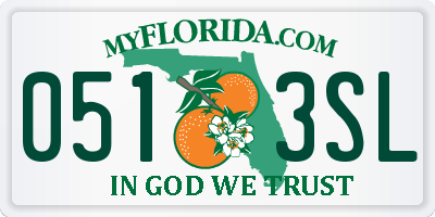 FL license plate 0513SL