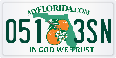 FL license plate 0513SN