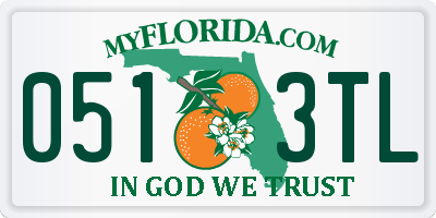 FL license plate 0513TL