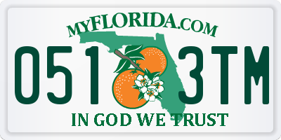 FL license plate 0513TM