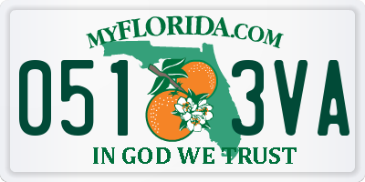 FL license plate 0513VA