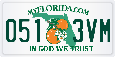 FL license plate 0513VM