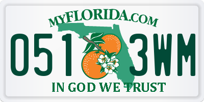 FL license plate 0513WM