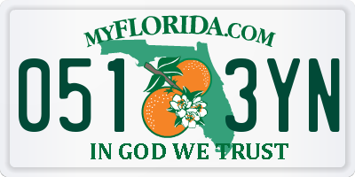 FL license plate 0513YN