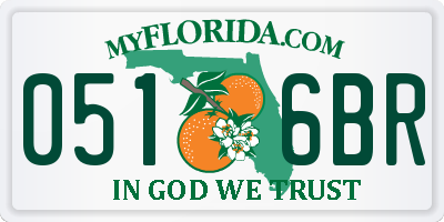FL license plate 0516BR