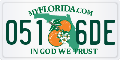 FL license plate 0516DE