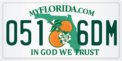 FL license plate 0516DM