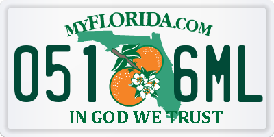 FL license plate 0516ML
