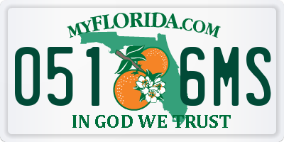 FL license plate 0516MS