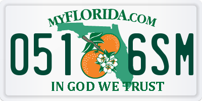 FL license plate 0516SM