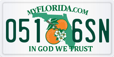 FL license plate 0516SN