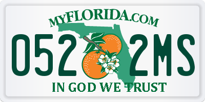 FL license plate 0522MS