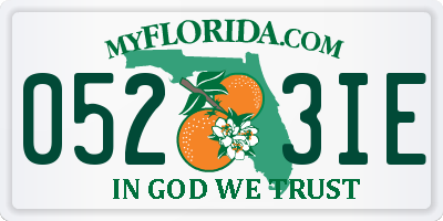 FL license plate 0523IE