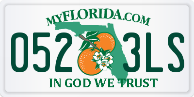FL license plate 0523LS