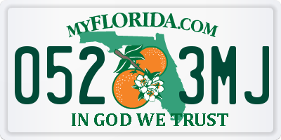 FL license plate 0523MJ