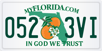 FL license plate 0523VI