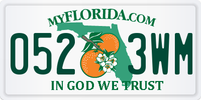 FL license plate 0523WM